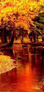 Vibrant autumn forest stream with orange foliage and reflective water.