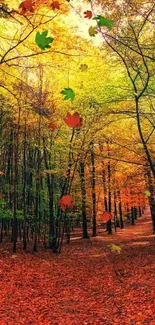 Beautiful autumn forest with a sunlit path and vibrant orange leaves.