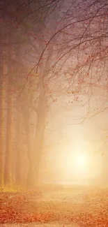 Sunrise through autumn forest path with warm glow and misty atmosphere.