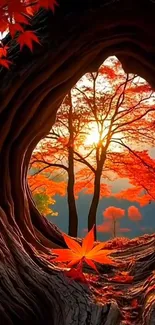 Vibrant autumn forest with sunrise view.