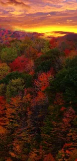 Vibrant autumn forest under a glowing sunset sky, perfect for mobile wallpaper.