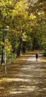 Pathway lined with golden leaves under tall autumn trees.