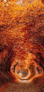 Autumn forest tunnel with vibrant orange foliage creating an enchanting pathway.