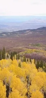 Autumn forest with golden trees and a scenic mountain view as mobile wallpaper.