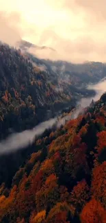 Autumn forest with misty mountains and colorful foliage.