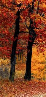 Vibrant autumn forest with red-orange leaves.