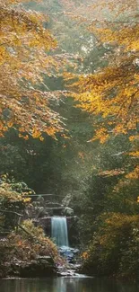 Mobile wallpaper of a golden autumn forest with a waterfall.