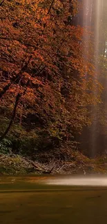 Autumn forest with waterfall adds serenity to your mobile screen.