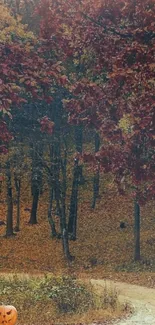 Autumn forest path with jack-o'-lantern.