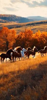 Wild horses running through autumn fields.