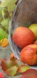 Rustic basket of apples on wooden table with autumn leaves.