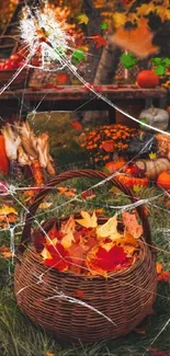 Basket filled with autumn leaves among pumpkins and outdoor decor.