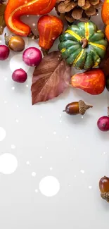 Autumn harvest with pumpkins and leaves on a light background.