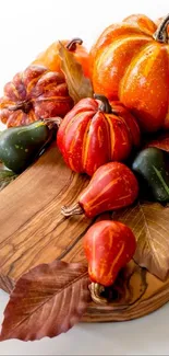 Colorful pumpkins and gourds on a wooden board, surrounded by autumn leaves.