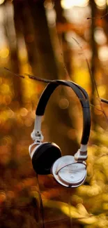 Headphones hanging on branches with golden autumn leaves background.