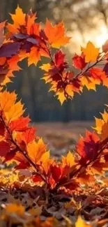 Heart-shaped autumn leaves art on forest floor.