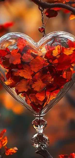 Glass heart with autumn leaves, hung on tree branch.