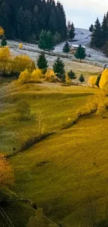 Autumn hillside with golden trees and lush greenery in a serene landscape.