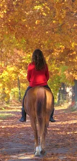 Person on horseback in autumn forest path, vibrant orange leaves.