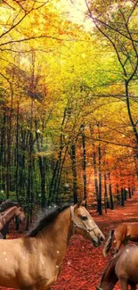 Horses in an autumn forest with vibrant orange and yellow leaves.