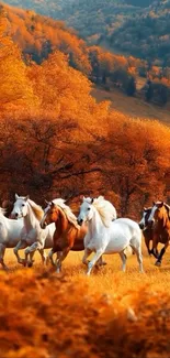 Horses running through autumn forest scenery.