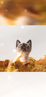 Kitten sitting among autumn leaves in a serene setting.