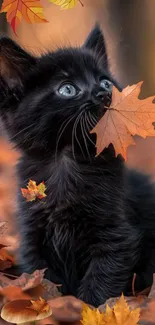 Cute black kitten surrounded by autumn leaves, perfect for a cozy wallpaper.