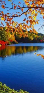 Stunning autumn lake with vibrant trees and calm blue water.