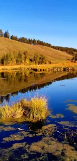 Serene autumn landscape with lake reflection.