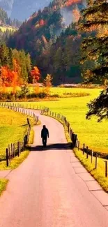 Man walking down a country road surrounded by autumn colors and lush greenery.