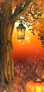 Autumn evening scene with lantern and pumpkins.