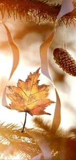 Autumn leaf and pinecone with ribbons in sunlight.