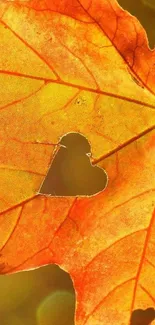 Vibrant orange autumn leaf with heart cutout.