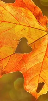 Golden leaf with heart cutout is set as mobile wallpaper.