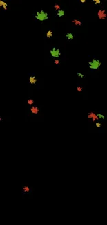 Minimalist wallpaper with colorful autumn leaves on black.