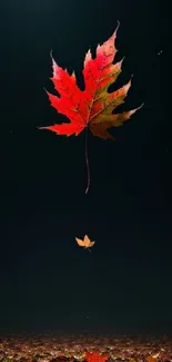 Red autumn leaf falling in starry night wallpaper.