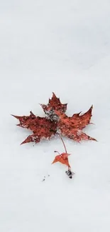 Red maple leaf on fresh white snow background, perfect mobile wallpaper.