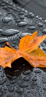 Orange autumn leaf on wet surface with raindrops.