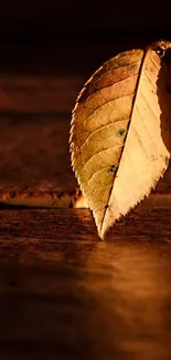 Golden autumn leaf on a wooden surface in warm lighting.