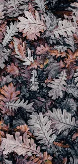 Autumn leaves in purple-brown tones covering the ground.