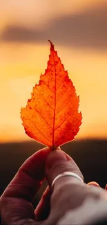 A hand holding an autumn leaf against an orange sunset.