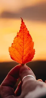 Hand holding a vibrant orange autumn leaf against a sunset sky.