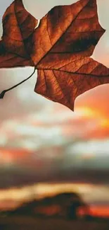 Autumn leaf silhouetted against a stunning sunset.