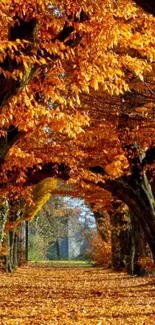 Golden autumn leaves forming a scenic tunnel path.