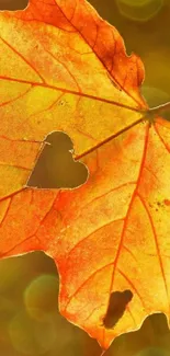 Orange autumn leaf with heart-shaped cutout.