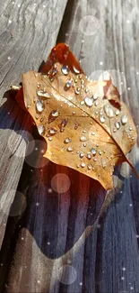 Autumn leaf with raindrops on wooden surface.