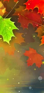 Vibrant autumn leaves with colorful abstract background.