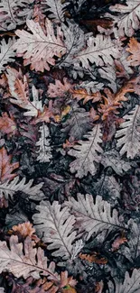 Autumn leaves forming an abstract pattern on the ground.