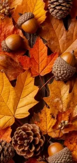 Autumn leaves with acorns and pinecones on wooden surface.