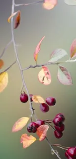 Autumn leaves and berries on a twig with earth tone background.